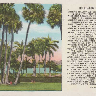 Palm trees and poem