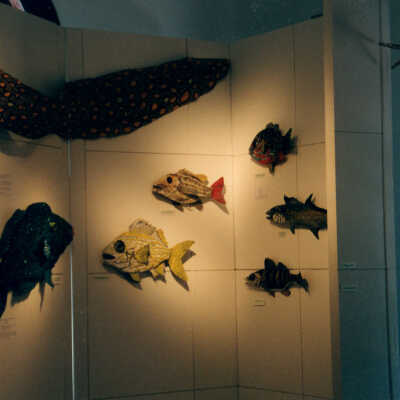 Captain Honk Exhibit