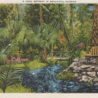 Cool Retreat in Beautiful Florida