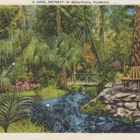 Cool Retreat in Beautiful Florida