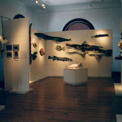 Captain Honk Exhibit