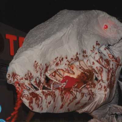 Unknown person dressed up in some object on a float.