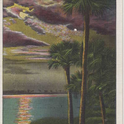 Eventide in Florida