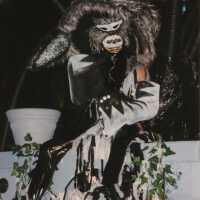 An unknown person dressed up on a float.