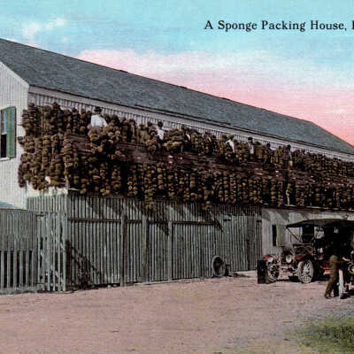 Sponge Packing Warehouse, Key West, Fla.