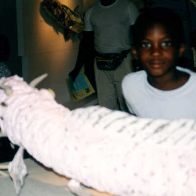 Captain Honk Exhibit