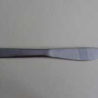 Pan American Airways Butter Knife