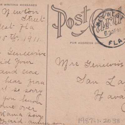 When the Leaves Begin to Turn