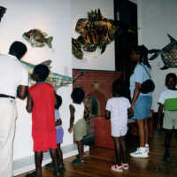 Captain Honk Exhibit