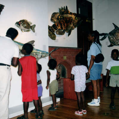 Captain Honk Exhibit