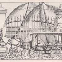 Horse-drawn Carriage