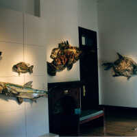 Captain Honk Exhibit