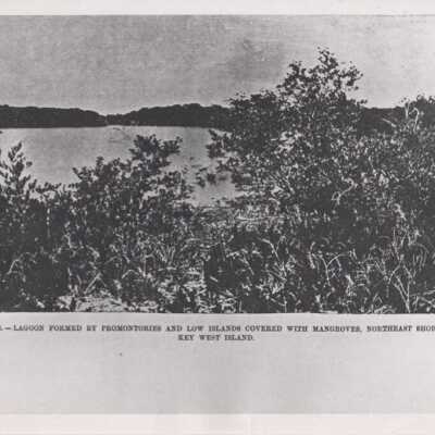 Northeast shore of Key West