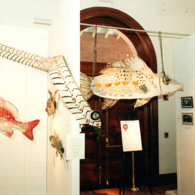 Captain Honk Exhibit