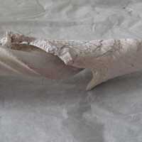 Shell Tool