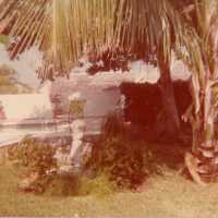 A yard