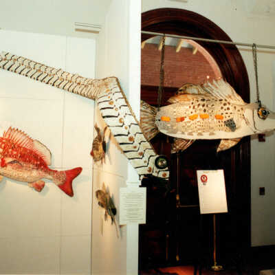 Captain Honk Exhibit