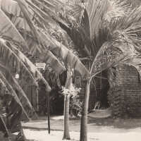 East Martello