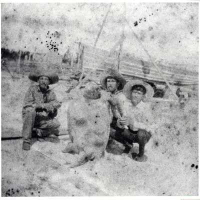 Unknown Men with Large Turtle