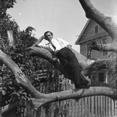 Man in Key West Tree