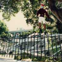 A hotel decorated for Fantasy Fest.