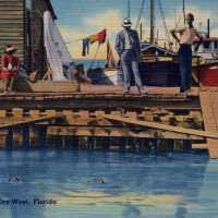 Turtle Kraals, Key West, Florida