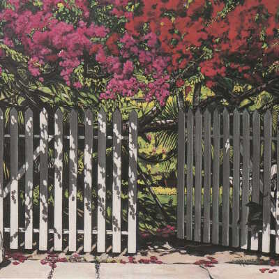 Bougainvillea/Key West