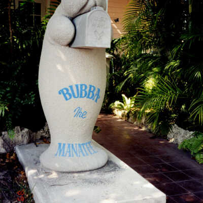 Bubba the Manatee Mailbox