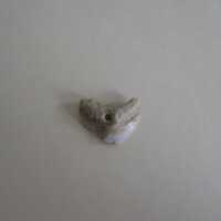 Tooth