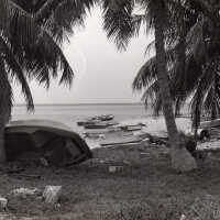 Boats on a beach