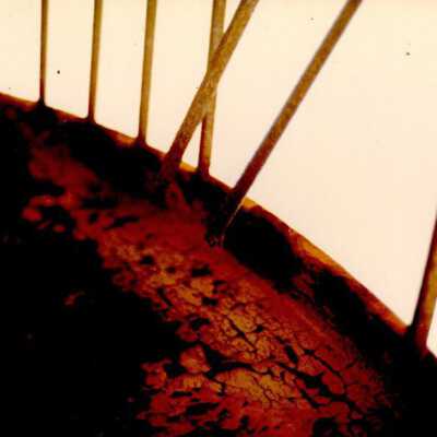 Key West Lighthouse detail: Copyright: © Key West Art & Historical Society; Origformat: Print-Photographic