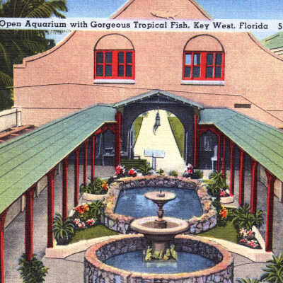 Open Aquarium with Gorgeous Tropical Fish, Key West, Florida