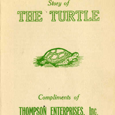 Story of The Turtle