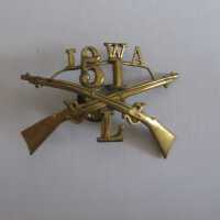 Iowa 51st Volunteers Pin