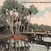 Tomoka River near, Ormond, Florida