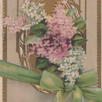 Lilacs
