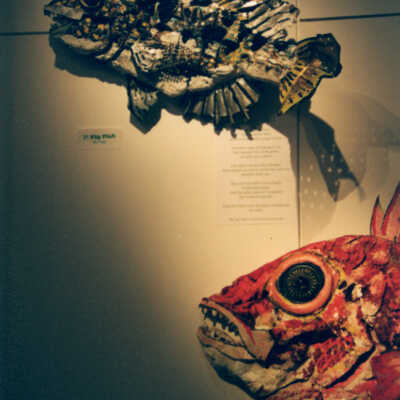 Captain Honk Exhibit