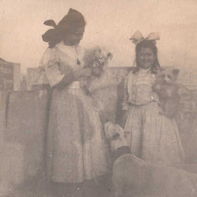 Unknown girls and dogs