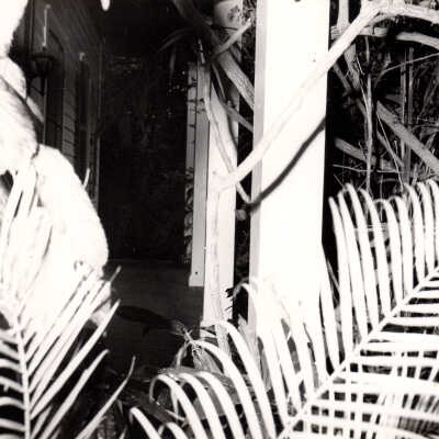 Porch of the Dick Duane House