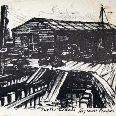 Turtle Kraals Key West