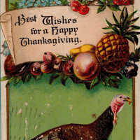 Best Wishes for a Happy Thanksgiving