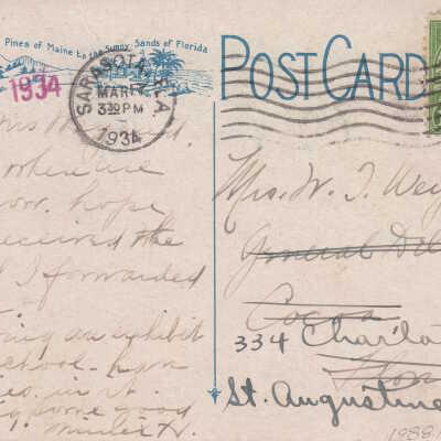 Proud and Handsome - Swans in the Sunshine State: © Key West Art & Historical Society