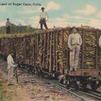 Train Load of Sugar Cane, Cuba
