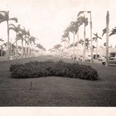 Parkway in Palm Beach