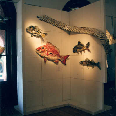 Captain Honk Exhibit