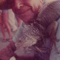 Key West Iguana man