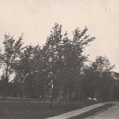 Unknown house amid trees