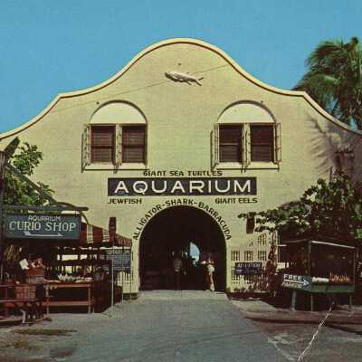 Key West Aquarium