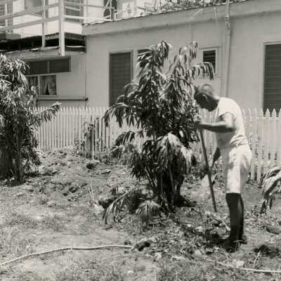 Unknown man working in a yard.