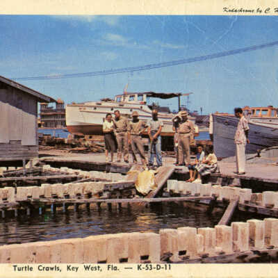Turtle Crawls, Key West, Fla.
